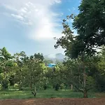 The Box House