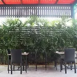Justin Resort