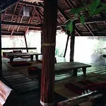 Dolphin Bungalows