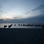 Haadrin Resort
