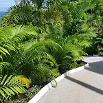 The Plantation Koh Tao