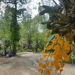 Chang Pai Garden (Adults Only)