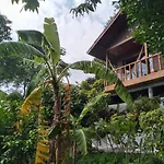 Tree House Bungalows