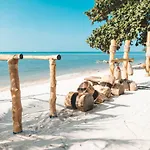 Dancing Elephant Beach Club