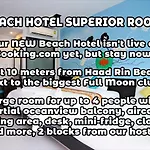 Wild & Wandering Backpacker Hostel & Bar