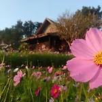 Phu Pai Art Resort
