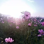 Phu Pai Art Resort