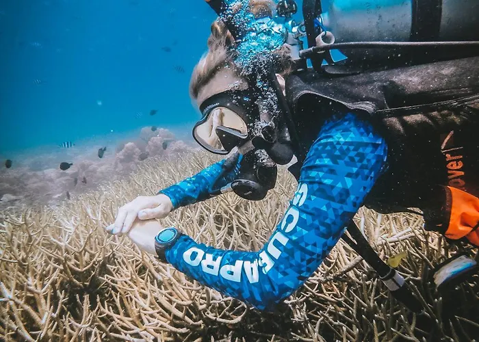 Dpm Koh Tao Diving Hotel & Bar