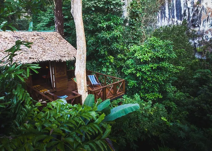 Our Jungle House