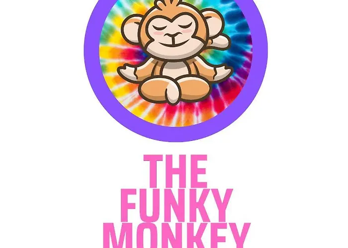 The Funky Monkey Hostel - 18 To 40 Years Old Only