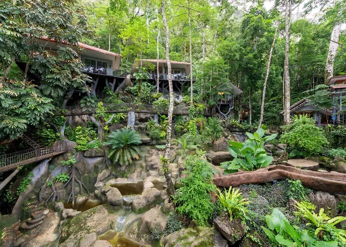Rock And Tree House Resort