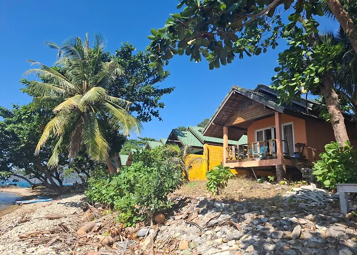 Paradise Palms