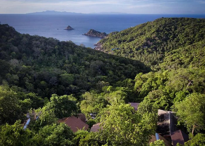 Tree House Bungalows