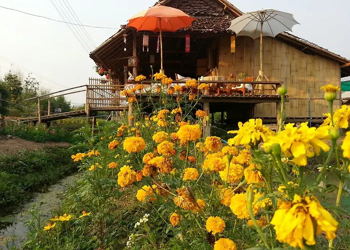 Tulip Resort Pai