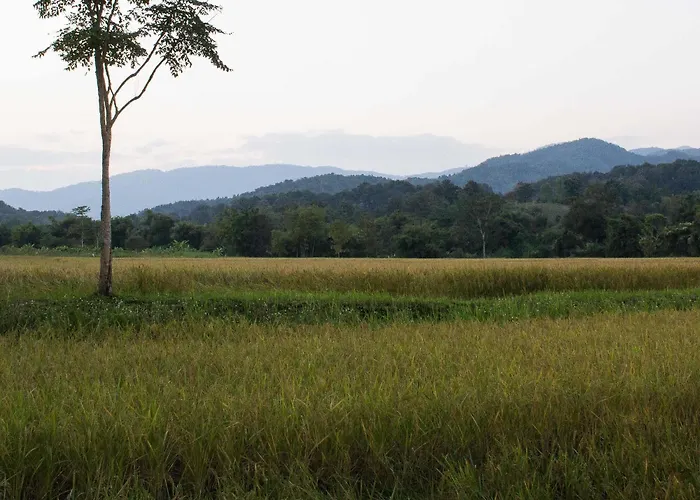 Bambuh Boutique Homestay (Adults Only)
