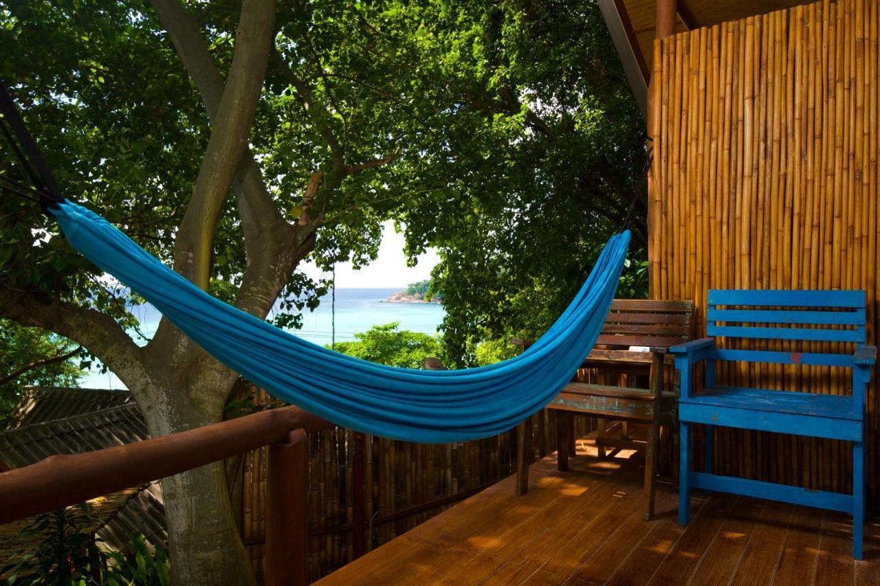 Bubble Koh Tao