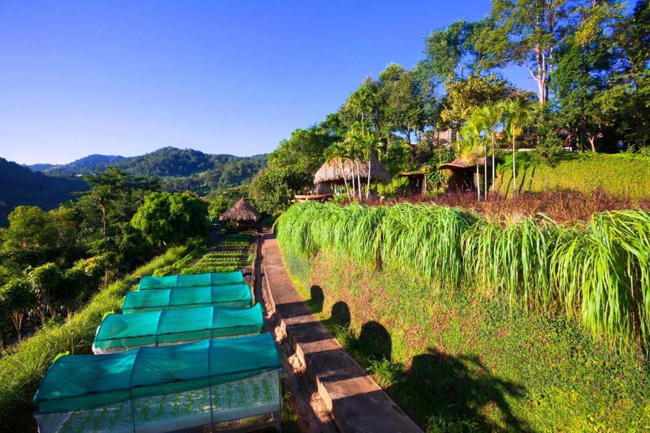 Panviman Chiang Mai Resort 5*