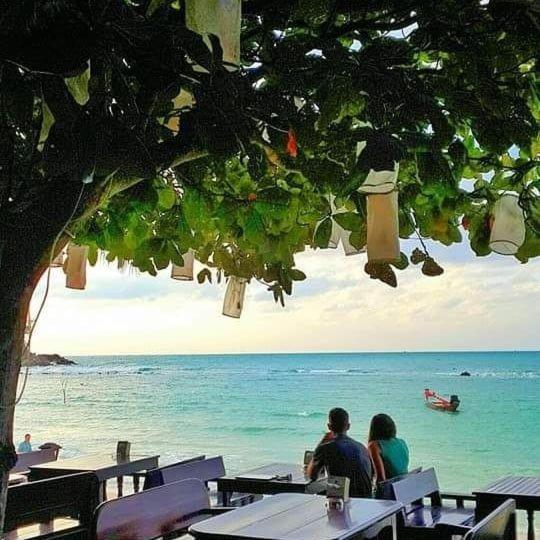Salad Hut Lodge *