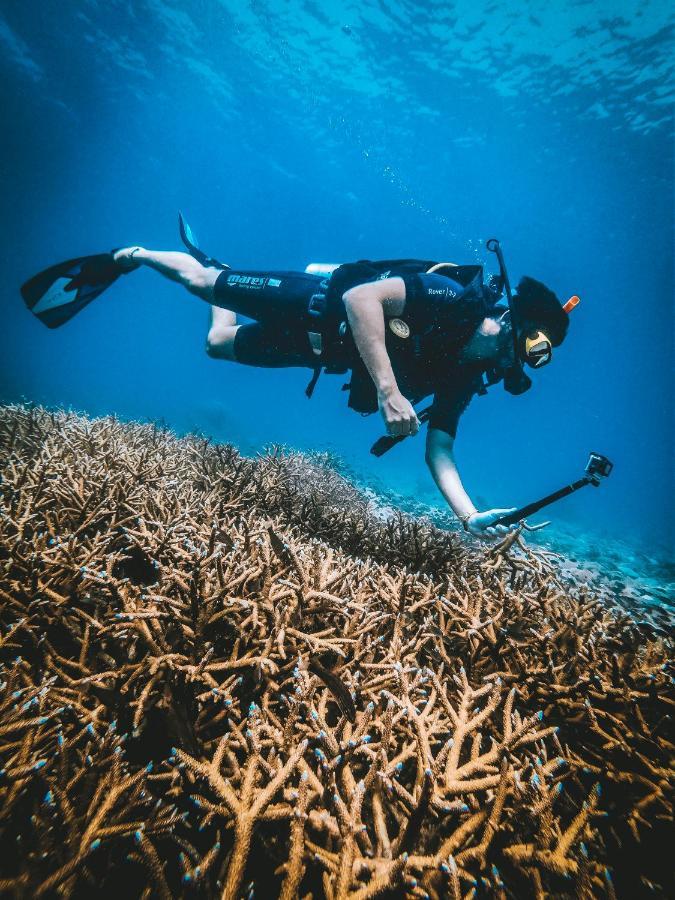 Dpm Diving & Bar Koh Tao