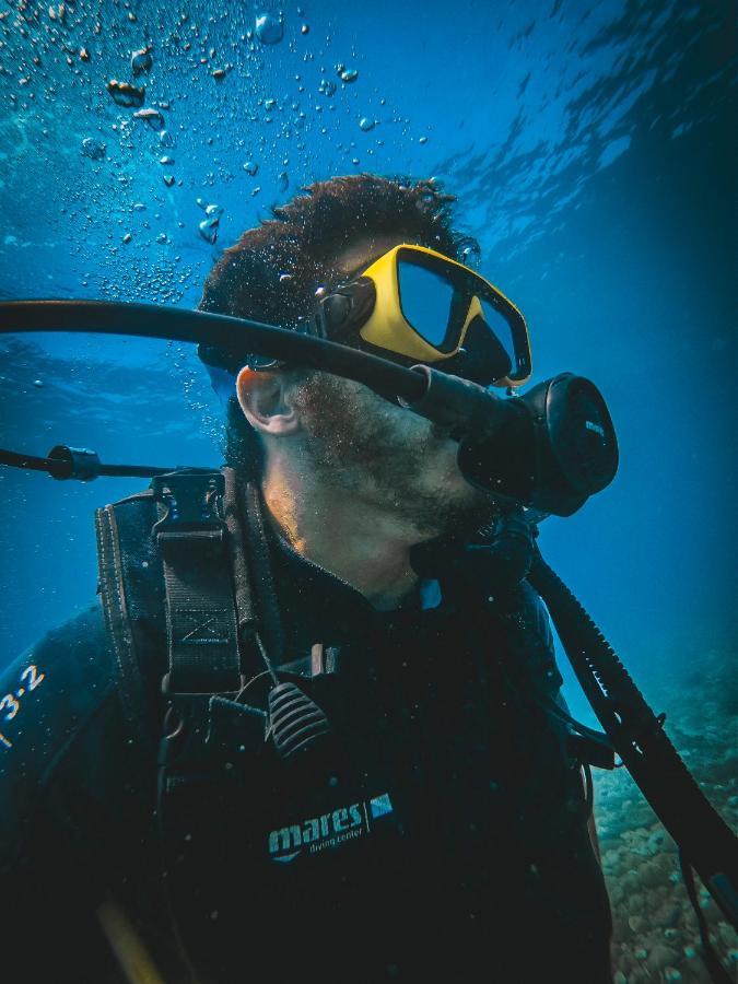 Dpm Diving & Bar Koh Tao