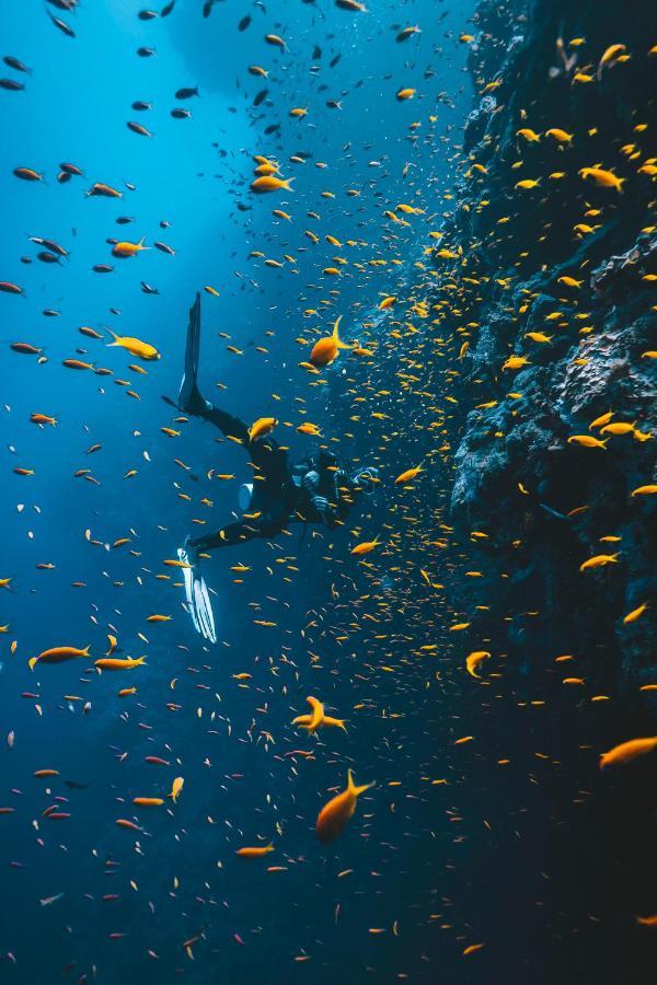 Inn Dpm Diving & Bar