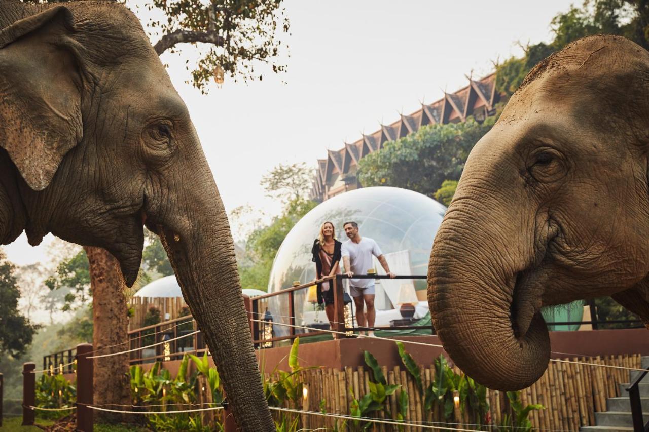 Resort Anantara Golden Triangle Elephant Camp & 5*