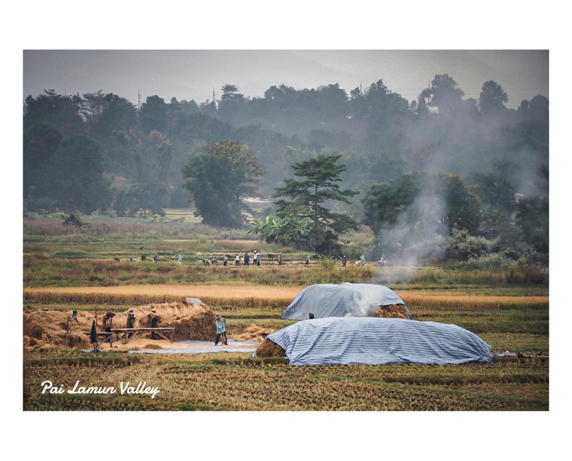 Lamun Valley 2*