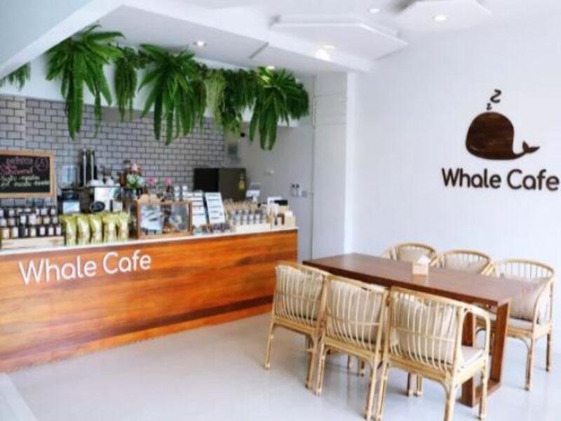 Sleep Whale Hotel 3*