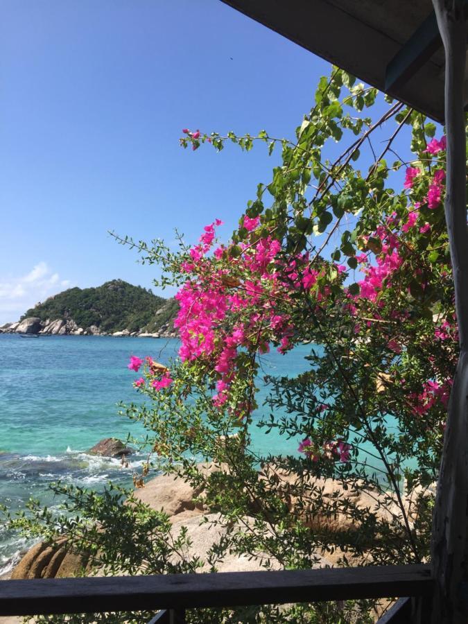 Rocky Resort