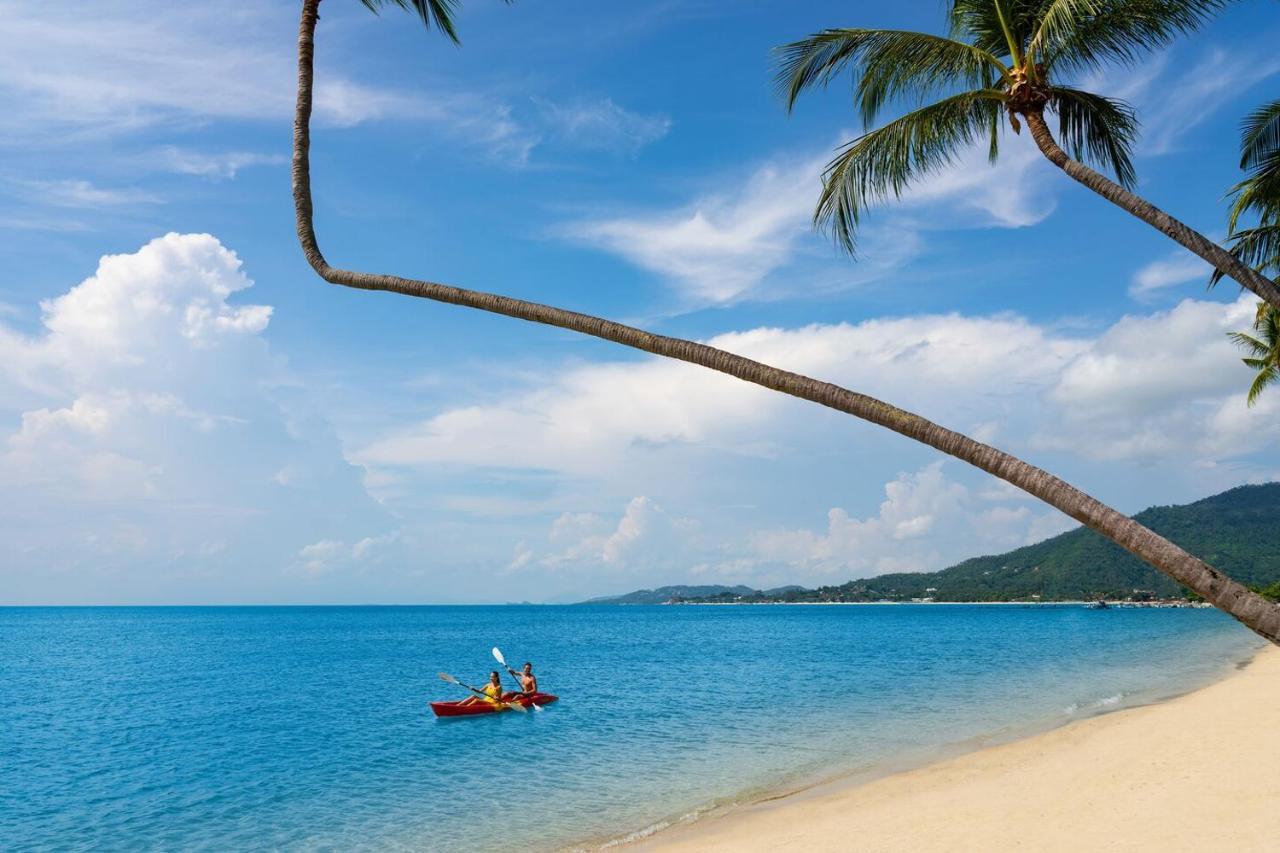 The Samui