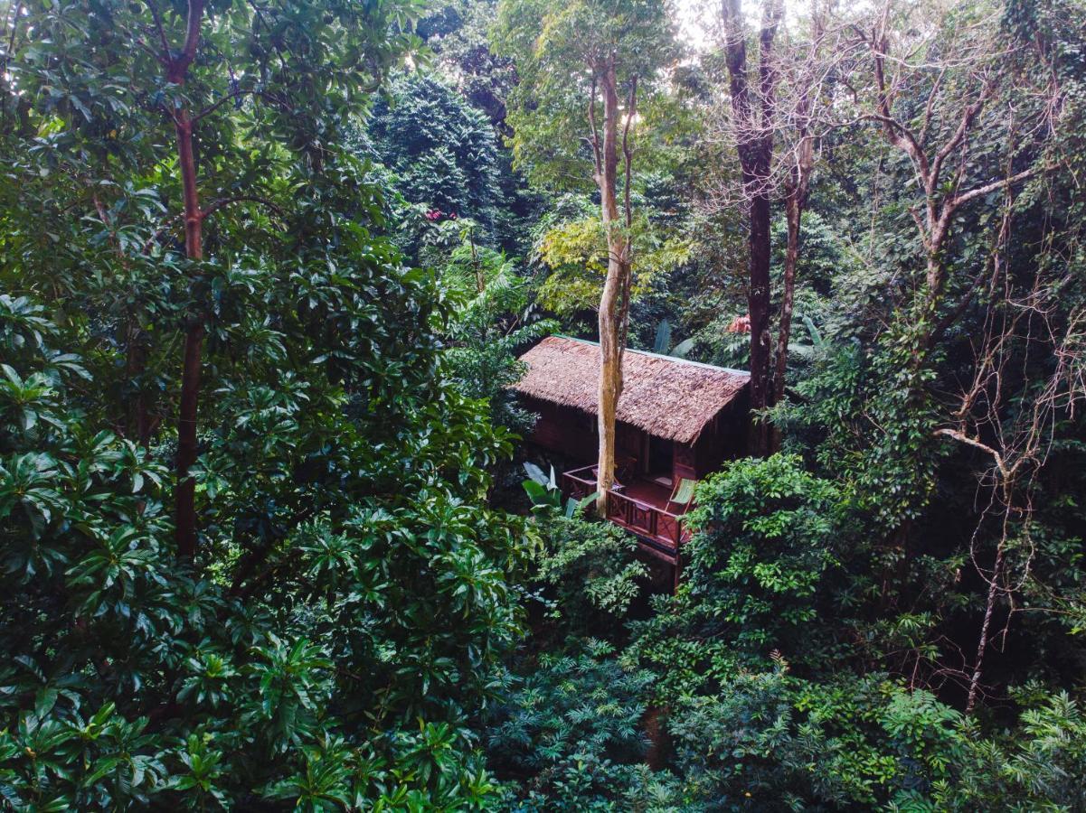 Resort Our Jungle House Khao Sok National Park