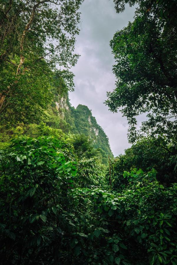 Our Jungle House Resort Khao Sok National Park
