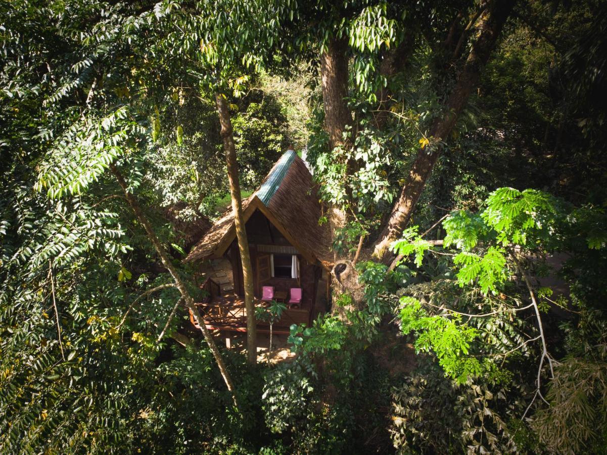 Our Jungle House Resort Khao Sok National Park