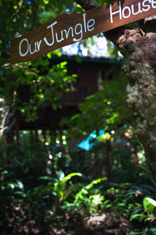 Our Jungle House Resort Khao Sok National Park