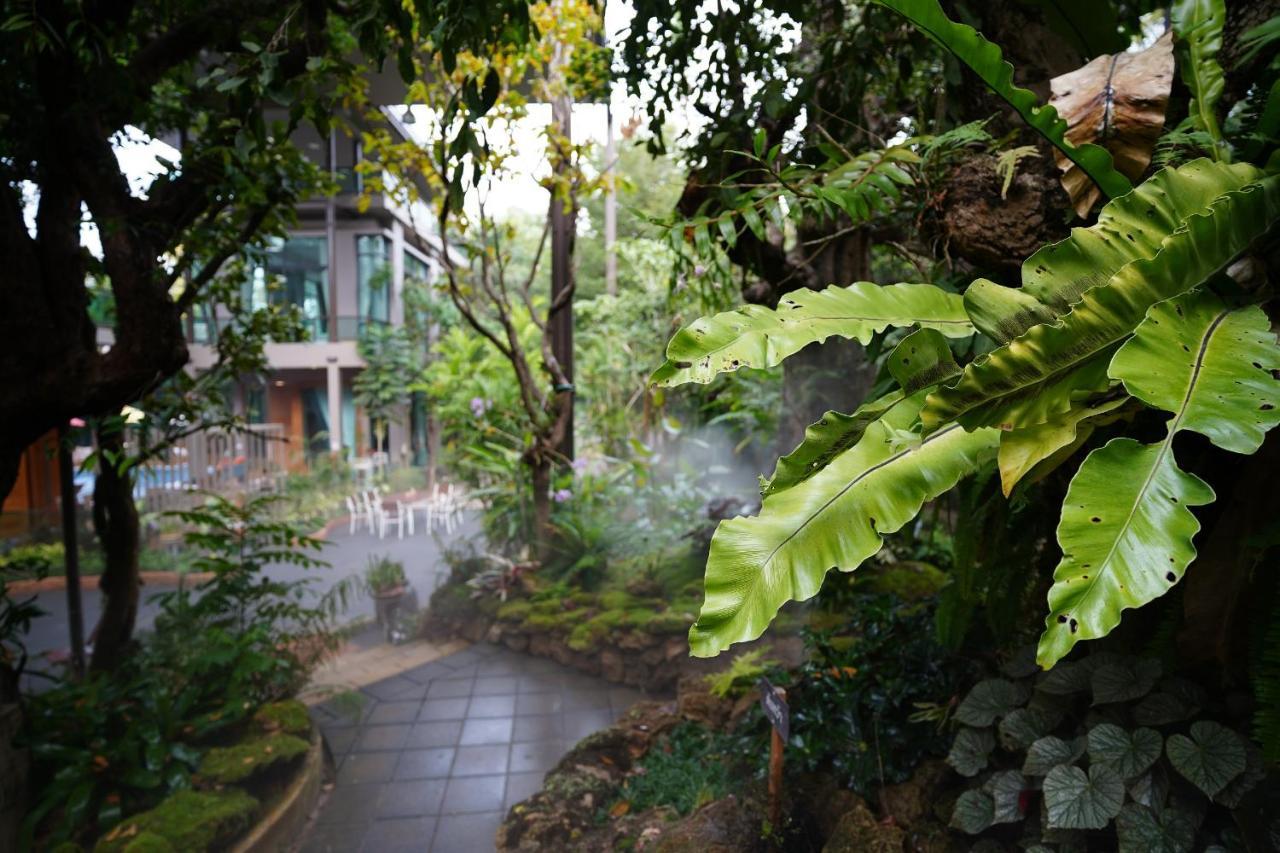 Treescape Chiangmai Resort 4*