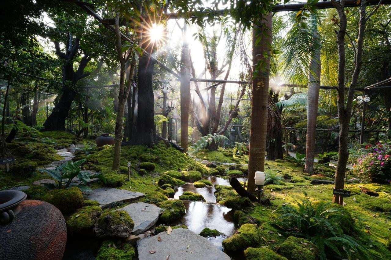 Treescape Chiangmai Resort 4*
