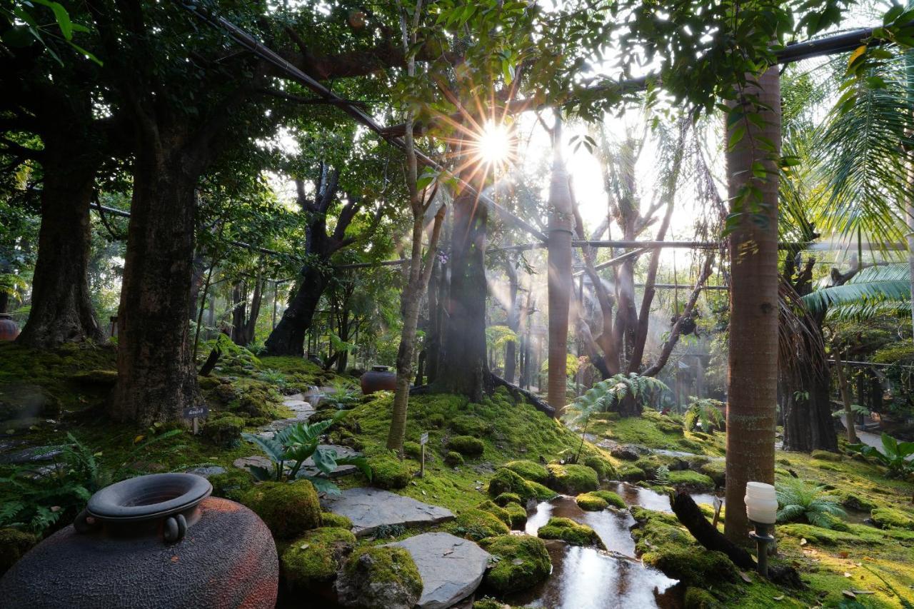 Treescape Chiangmai Chiang Mai
