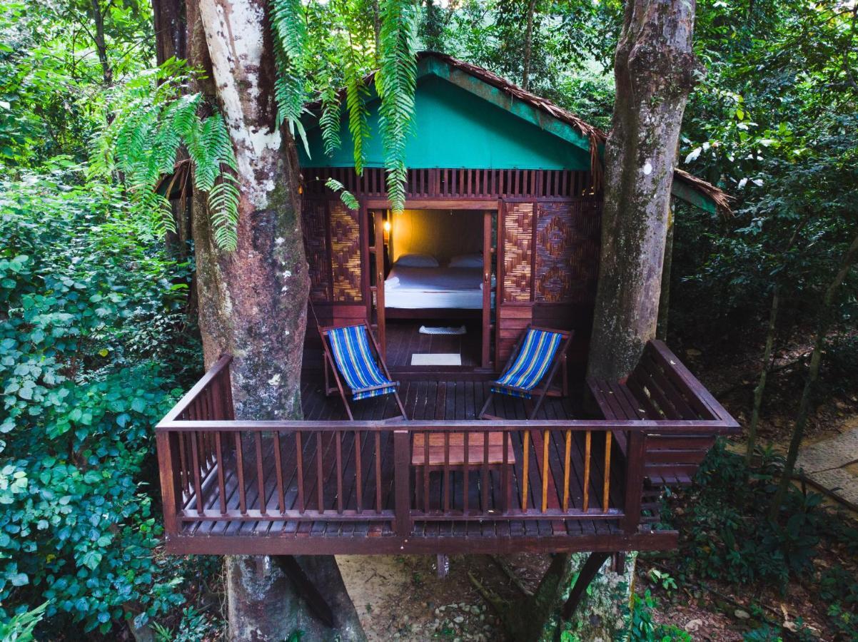 Resort Our Jungle House