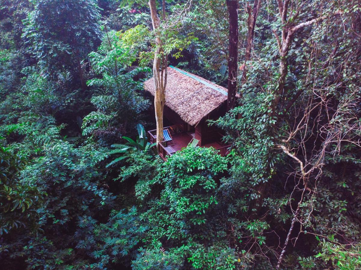 Our Jungle House Resort