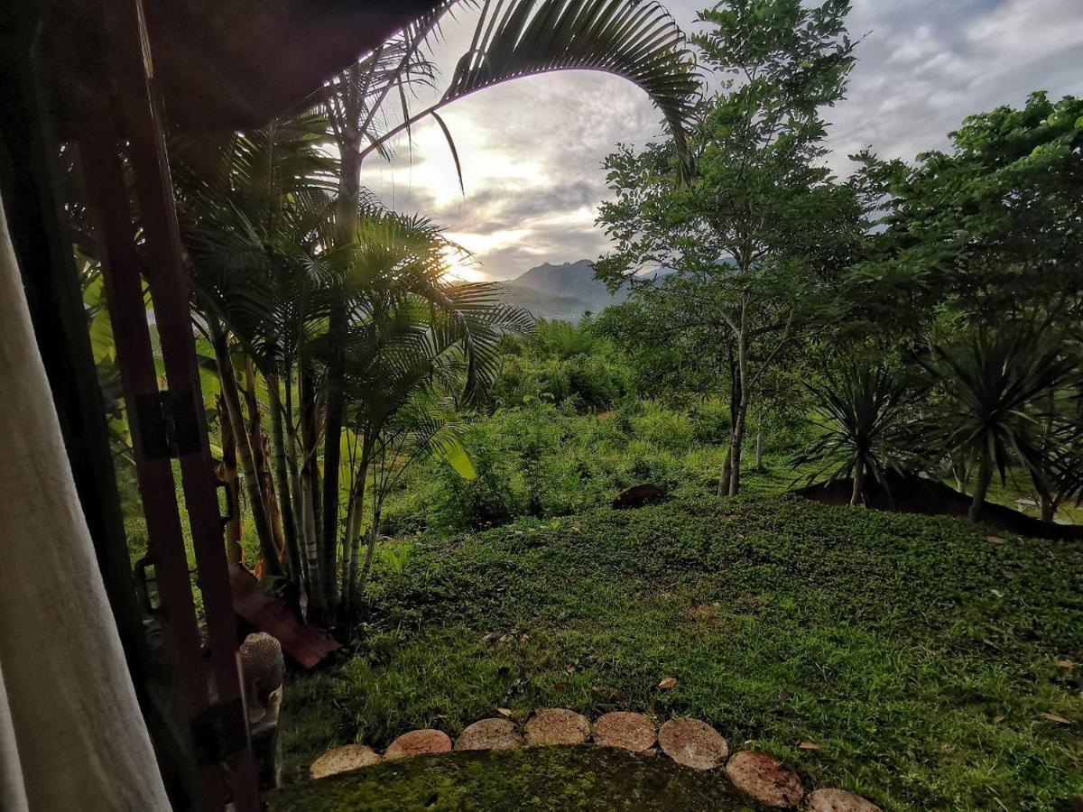 The Lookout Guest house *