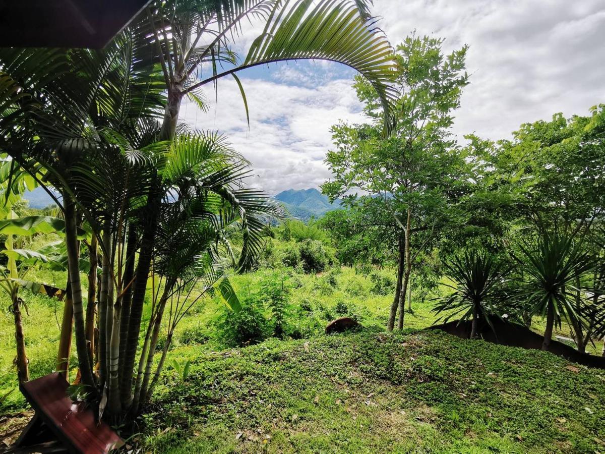 Guest house The Lookout