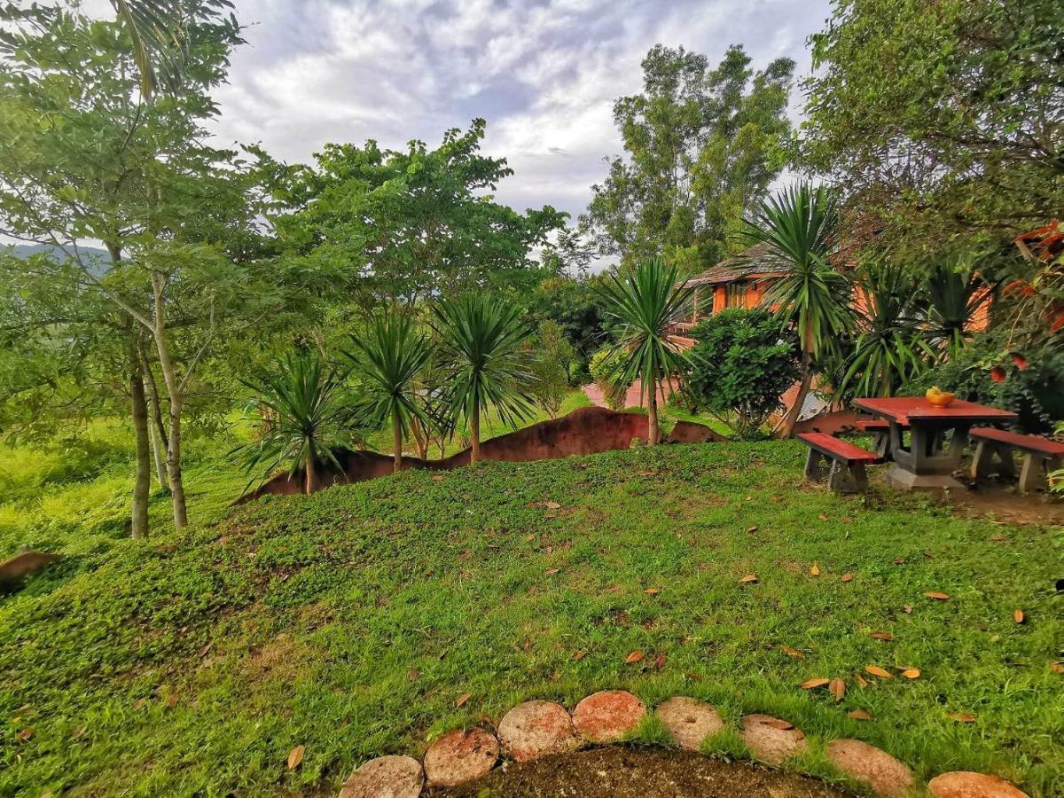 The Lookout Guest house *