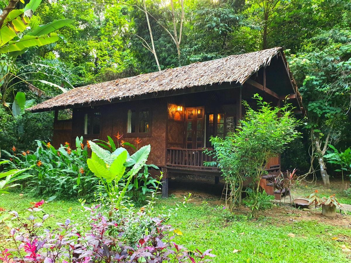 Resort Our Jungle House