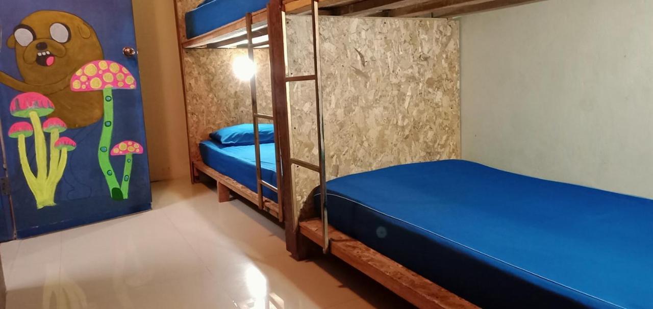 Seven 77 Club Hostel