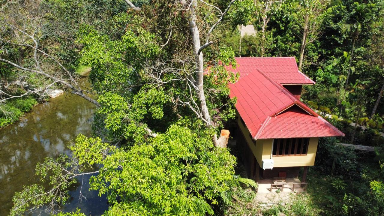 Art's Riverview Khao Sok National Park