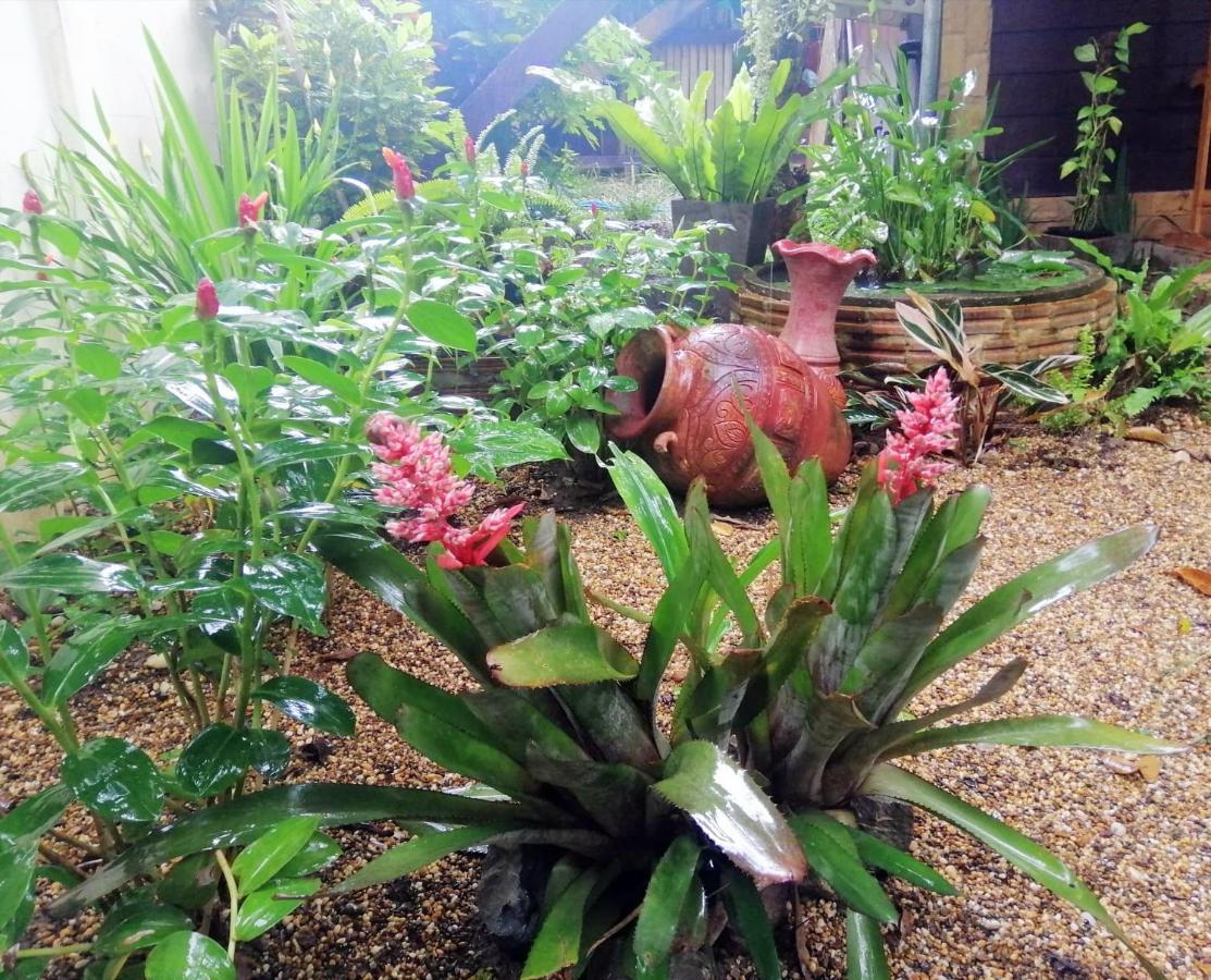 Resort Chiangrai Chiang Rai