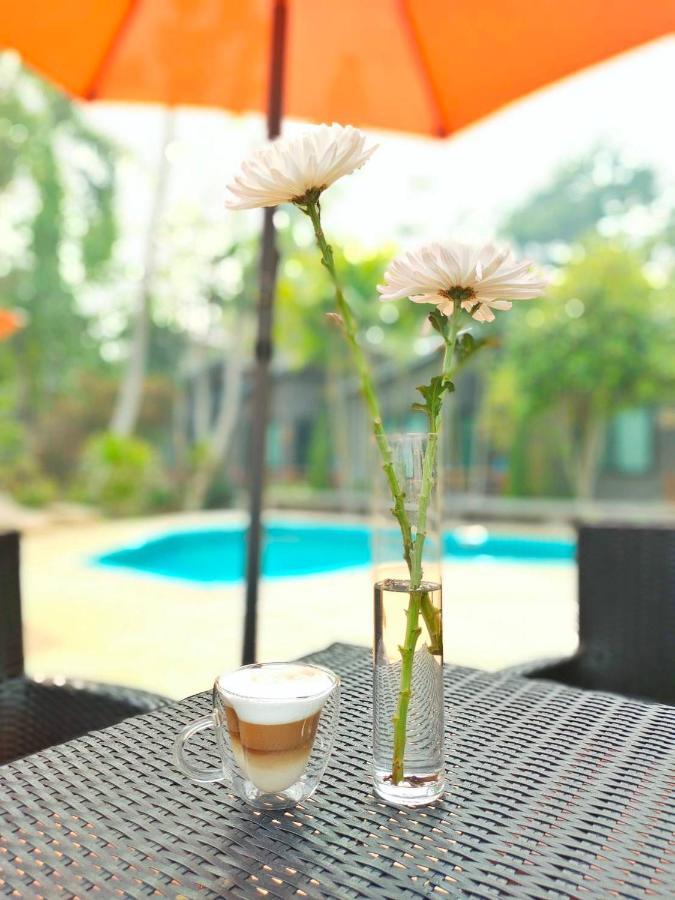 Family House @ Resort
