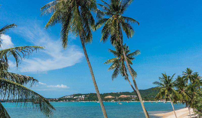 B House Samui Resort Bang Rak Beach (Koh Samui)
