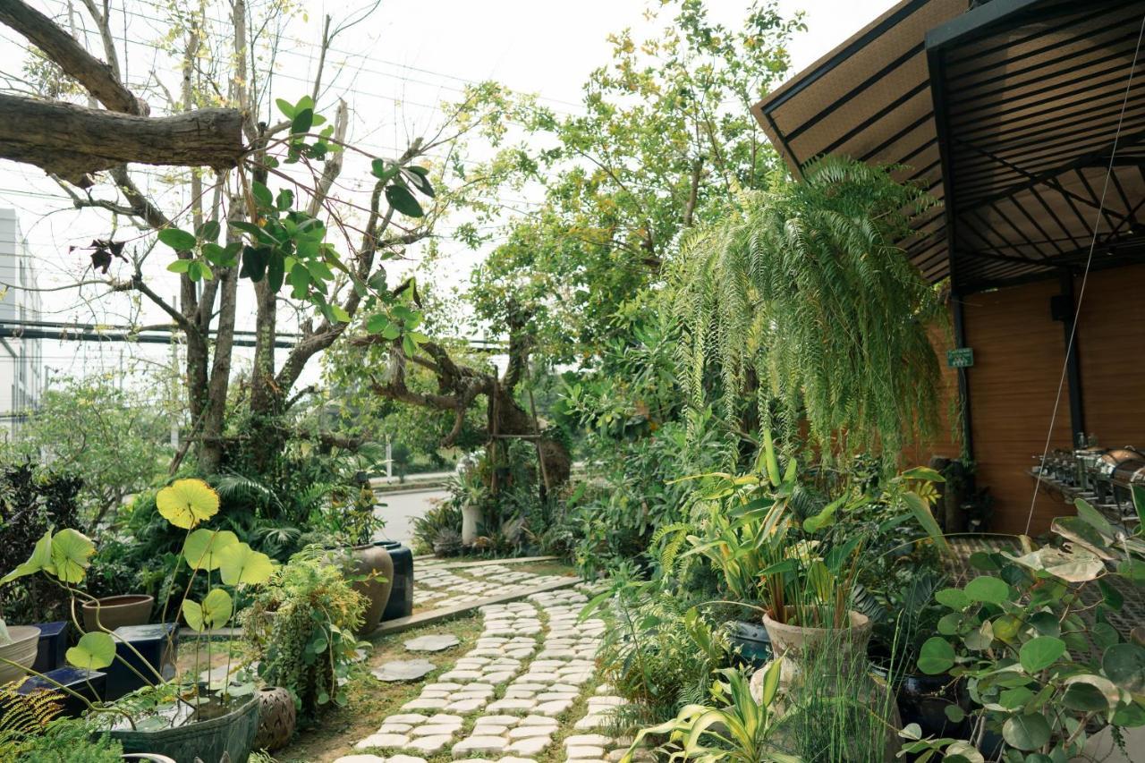 Whale - Sha Hua Hin