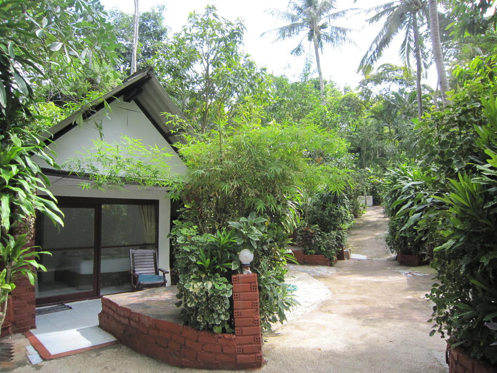 Pine * Krabi
